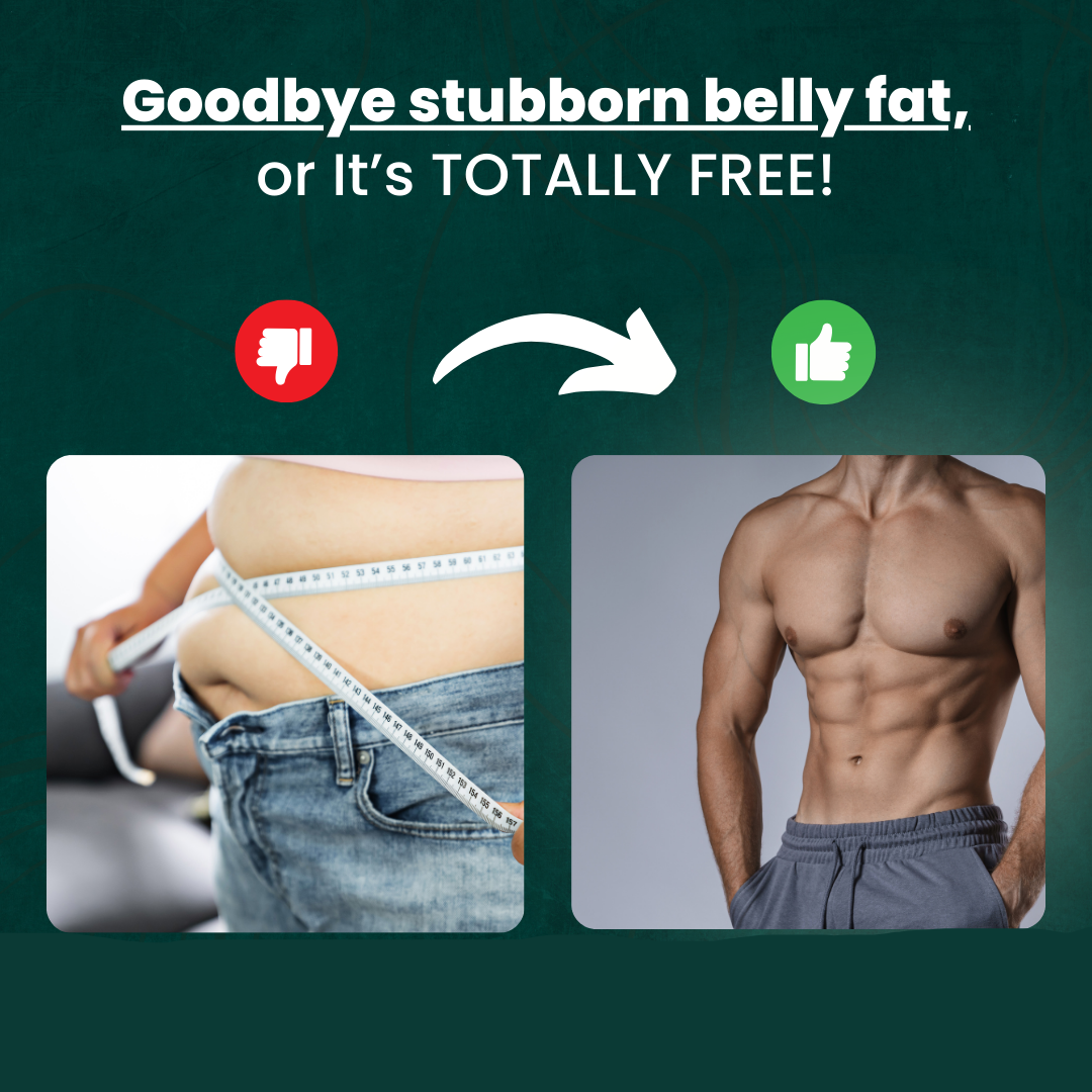 Abdominal Exerciser | Fitness Machine for Muscle Trainer | Equipment for Abs Workouts