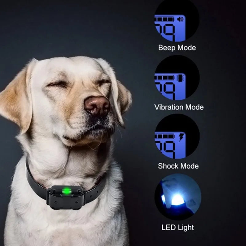 Adjustable Electric Dog Training E-Collar β Safe, Effective Remote Control