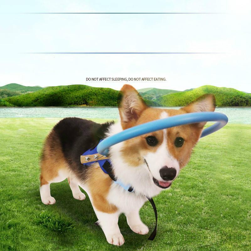 Bumper Collar Guide For Blind Dogs Harness