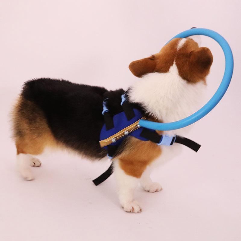 Bumper Collar Guide For Blind Dogs Harness