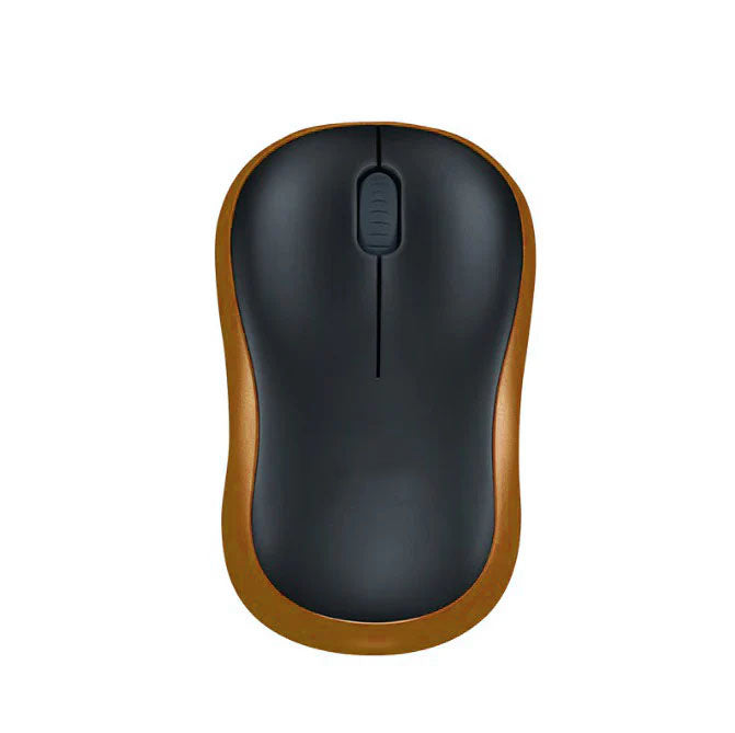 Portable Computer Key Boards and Wireless Computer Mouse