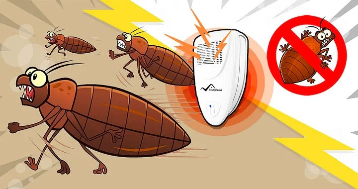 Ultrasonic Bed Bug Repeller