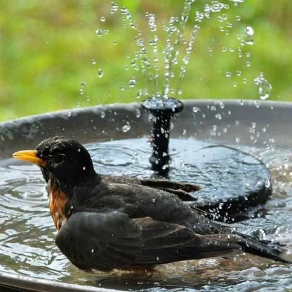 Solar Water Fountain for Garden